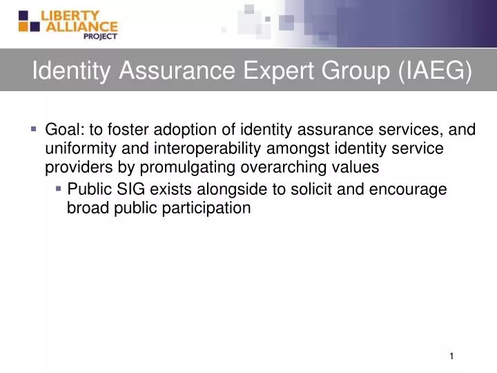 identity assurance expert group iaeg