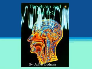 The Brain and the EEG