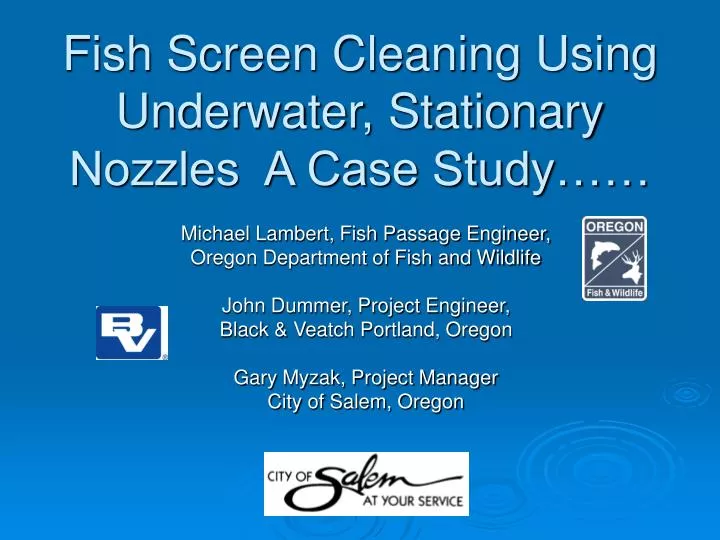 fish screen cleaning using underwater stationary nozzles a case study