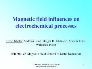 Magnetic field influences on electrochemical processes