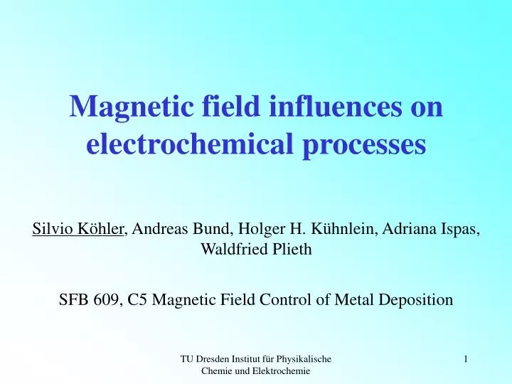 magnetic field influences on electrochemical processes
