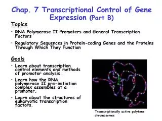 Chap. 7 Transcriptional Control of Gene Expression (Part B)
