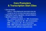 Core Promoters &amp; Transcription Start Sites - slide 1