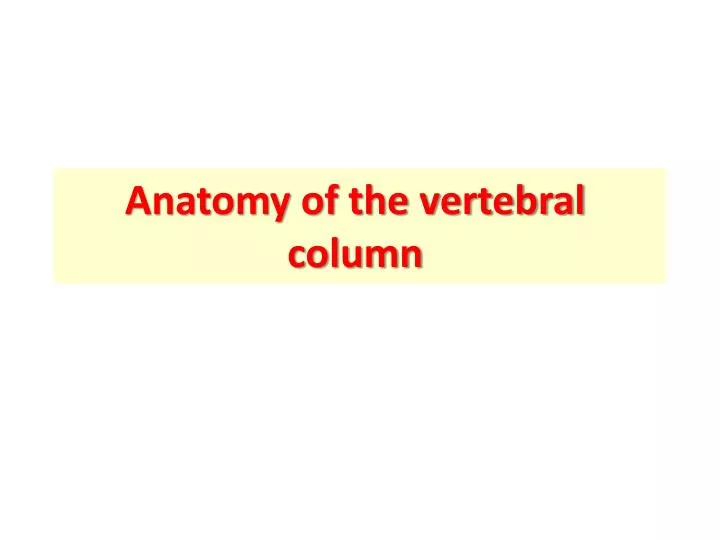 anatomy of the vertebral column