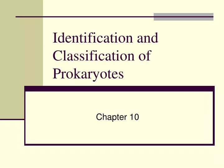 identification and classification of prokaryotes