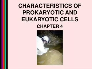 CHARACTERISTICS OF PROKARYOTIC AND EUKARYOTIC CELLS