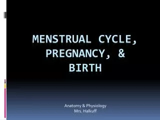 Menstrual Cycle, Pregnancy, &amp; Birth