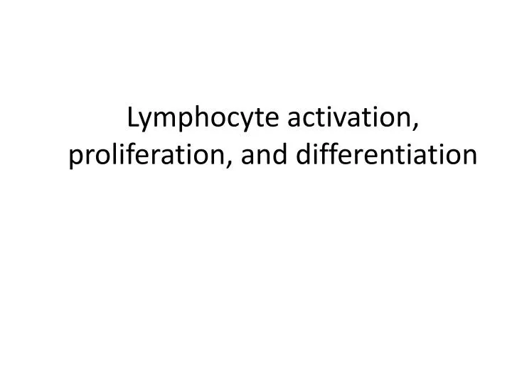 lymphocyte activation proliferation and differentiation