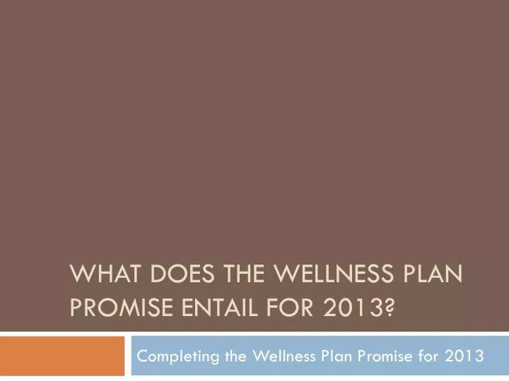 what does the wellness plan promise entail for 2013