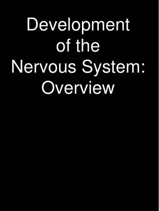 Development of the Nervous System: Overview