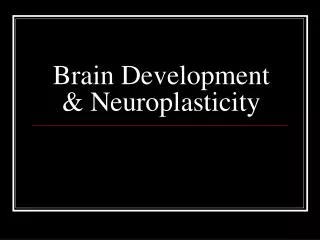 Brain Development &amp; Neuroplasticity