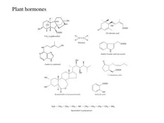Plant hormones