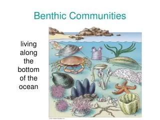 Benthic Communities