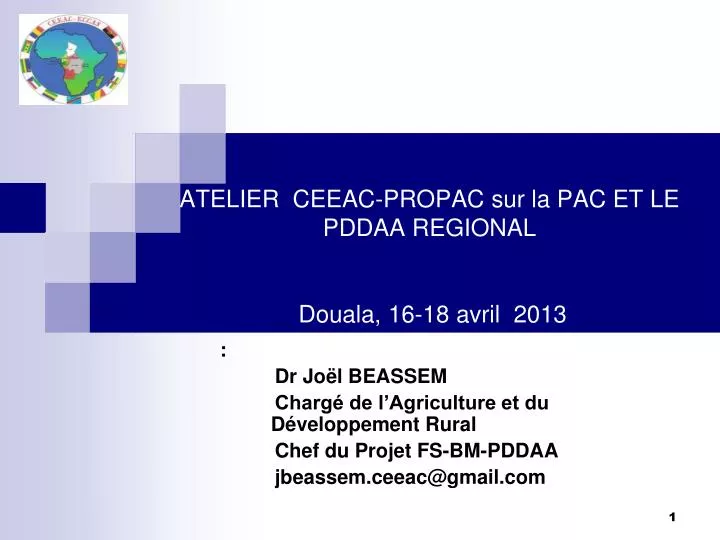 atelier ceeac propac sur la pac et le pddaa regional douala 16 18 avril 2013