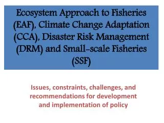 Issues, constraints, challenges, and recommendations for development and implementation of policy
