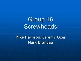 Group 16 Screwheads