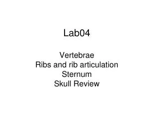 Lab04 Vertebrae Ribs and rib articulation Sternum Skull Review
