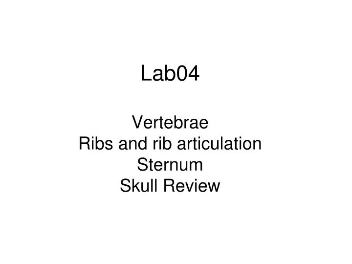 lab04 vertebrae ribs and rib articulation sternum skull review
