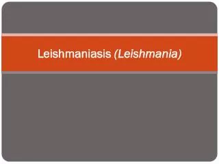 Leishmaniasis (Leishmania)
