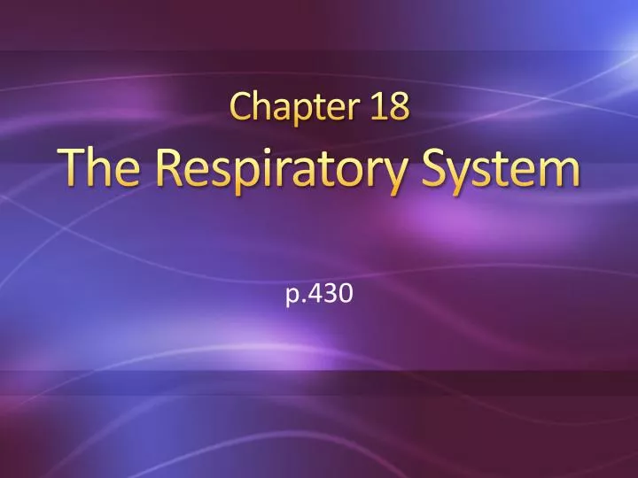 chapter 18 the respiratory system