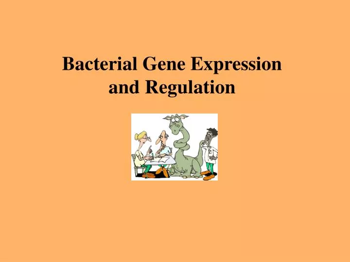 bacterial gene expression and regulation