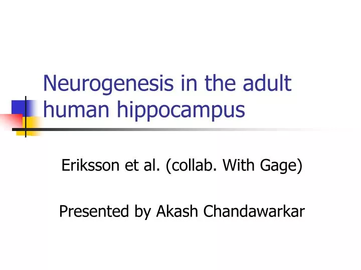 neurogenesis in the adult human hippocampus