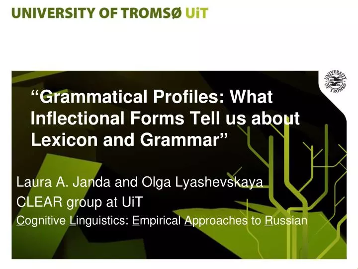 grammatical profiles what inflectional forms tell us about lexicon and grammar