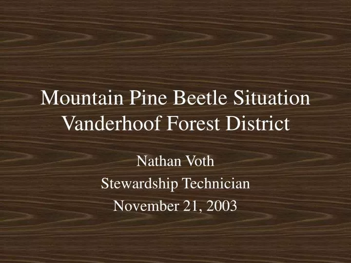 mountain pine beetle situation vanderhoof forest district