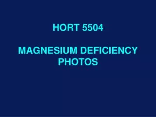 HORT 5504 MAGNESIUM DEFICIENCY PHOTOS