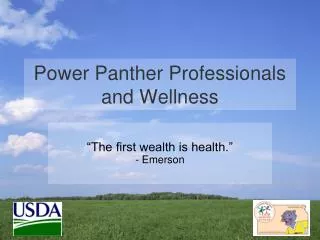 Power Panther Professionals and Wellness