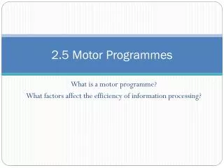 2.5 Motor Programmes