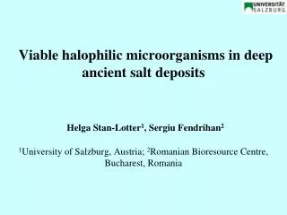Microbial life in subterranean halite