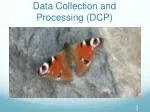 Data Collection and Processing (DCP) - slide 1