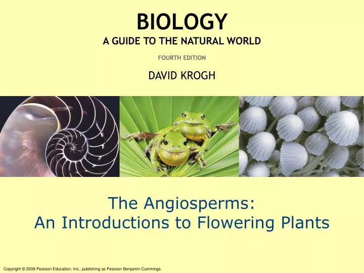 the angiosperms an introductions to flowering plants