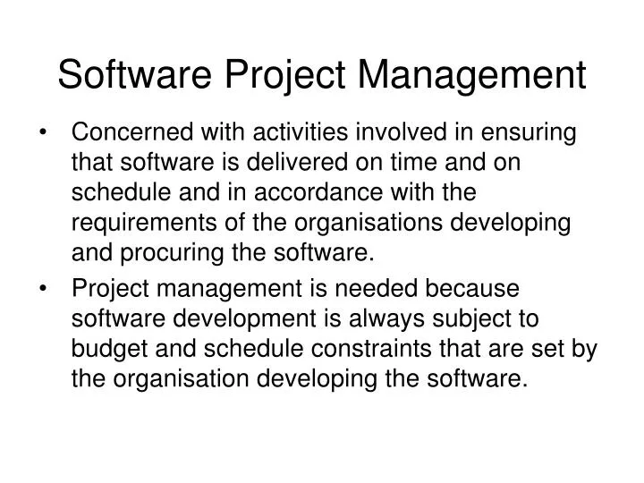 software project management