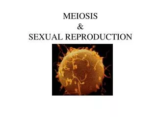 MEIOSIS &amp; SEXUAL REPRODUCTION