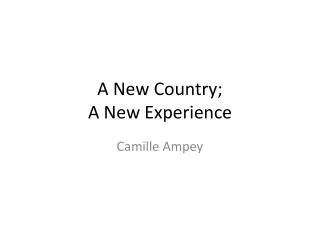 A New Country; A New Experience