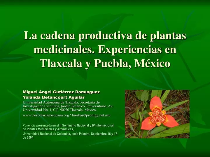 la cadena productiva de plantas medicinales experiencias en tlaxcala y puebla m xico