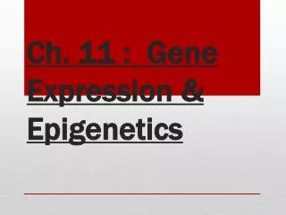 Ch. 11 : Gene Expression &amp; Epigenetics