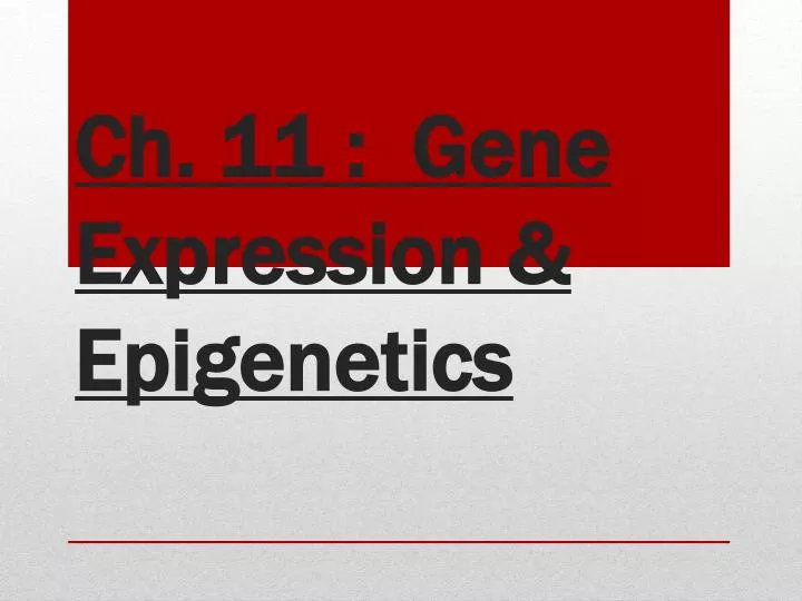 ch 11 gene expression epigenetics
