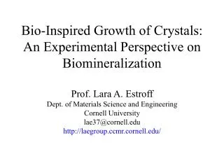 Bio-Inspired Growth of Crystals: An Experimental Perspective on Biomineralization