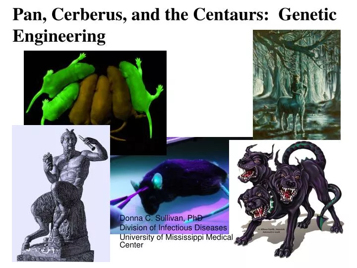 pan cerberus and the centaurs genetic engineering