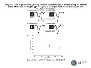 Schwartz G W , and Rieke F eLife Sciences 2013;2:e00467