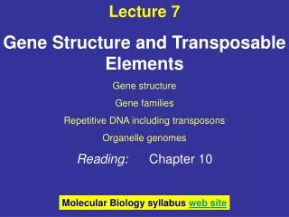 Lecture 7 Gene Structure and Transposable Elements Gene structure Gene families