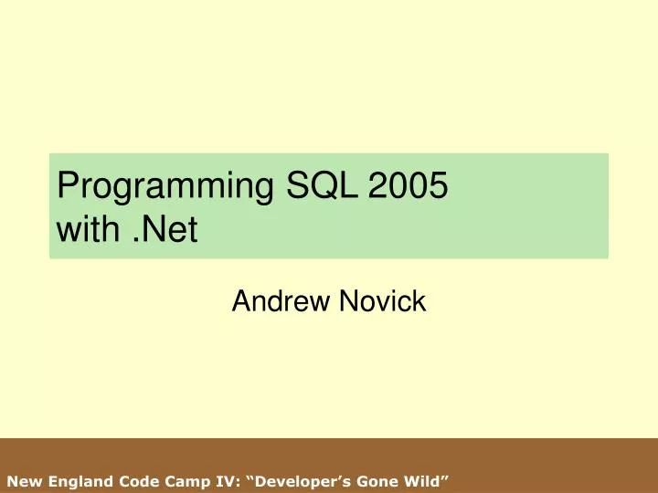 programming sql 2005 with net