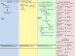 Forms: Proposal for Change in a Certificate/Diploma Program: Sections 1 -4 - slide 1