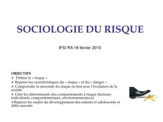 sociologie du risque