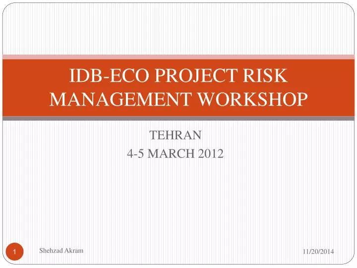 idb eco project risk management workshop