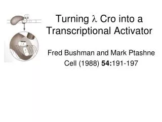 Turning ? Cro into a Transcriptional Activator