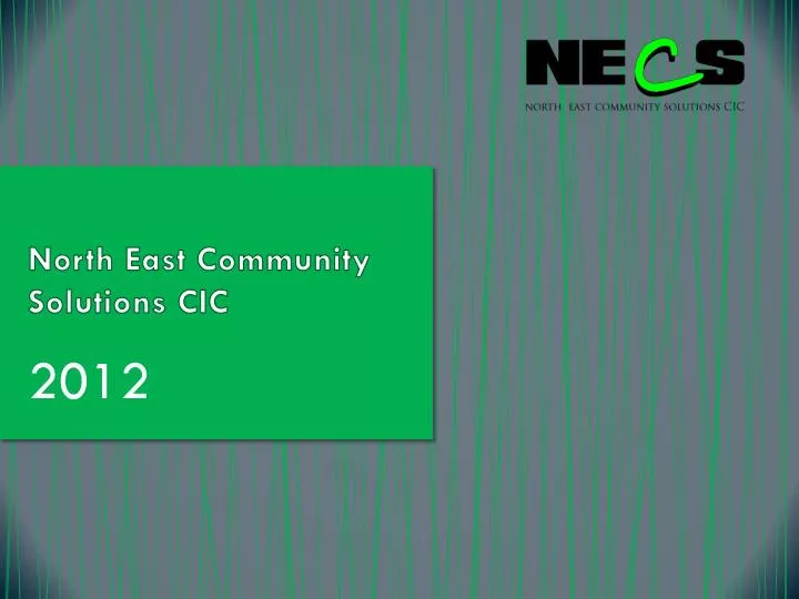 north east community solutions cic
